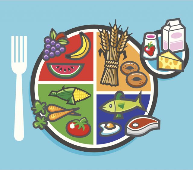 my plate food pie chart