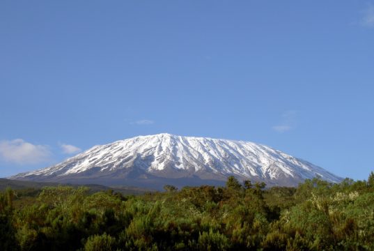 Kilimanjaro Blog – Entry #2