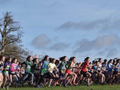 All Eyes on the Irish Life Health National Cross Country Championships
