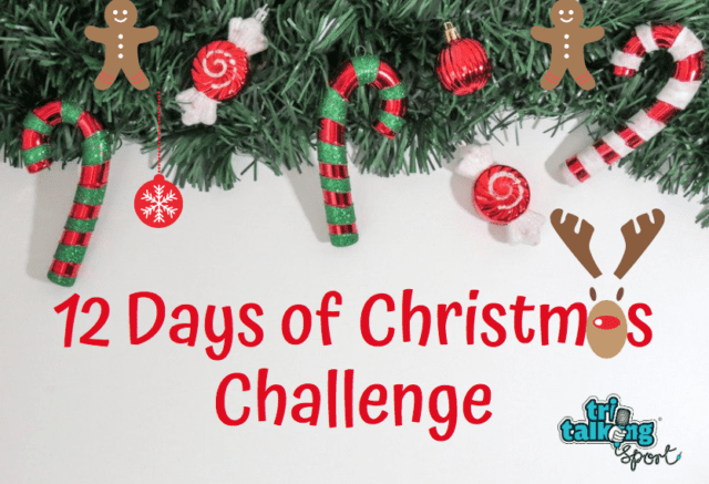 12 days of christmas challenge